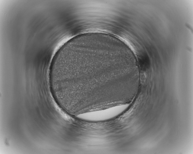 X0000094930995200712201048