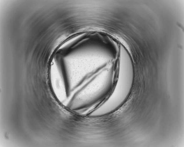 X0000094930997200712201048