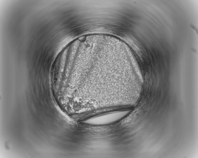 X0000094930998200712201048