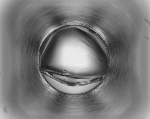X0000094931000200712201048