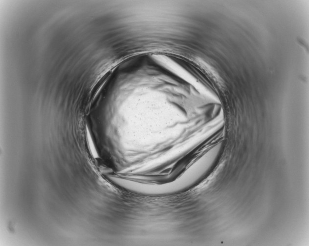 X0000094931001200712201048