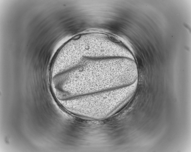 X0000094931003200712201048
