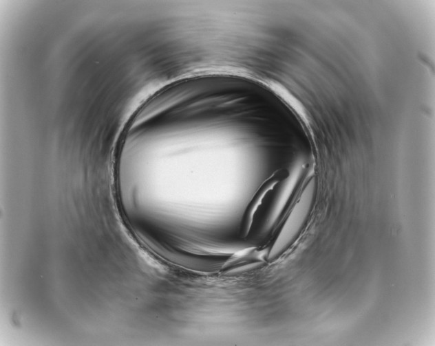 X0000094931005200712201048