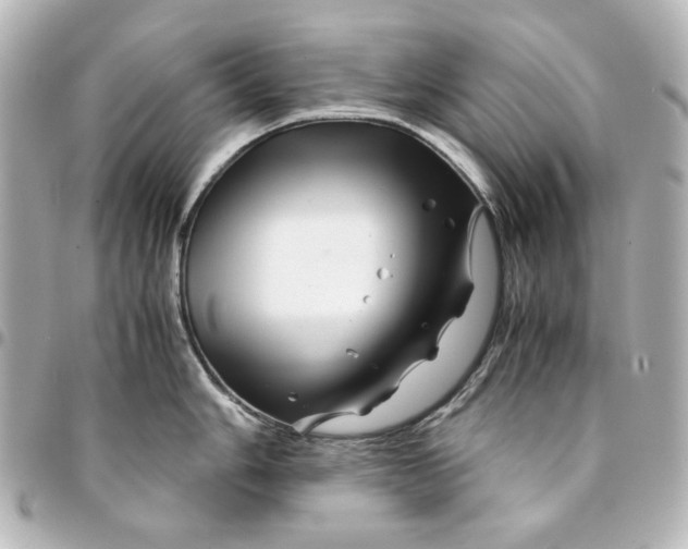 X0000094931006200712201048