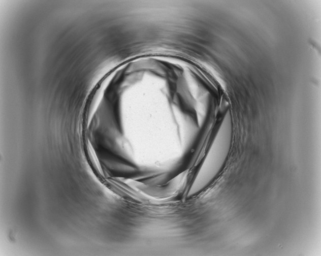 X0000094931007200712201048