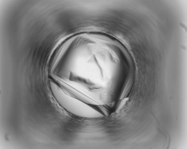 X0000094931008200712201048