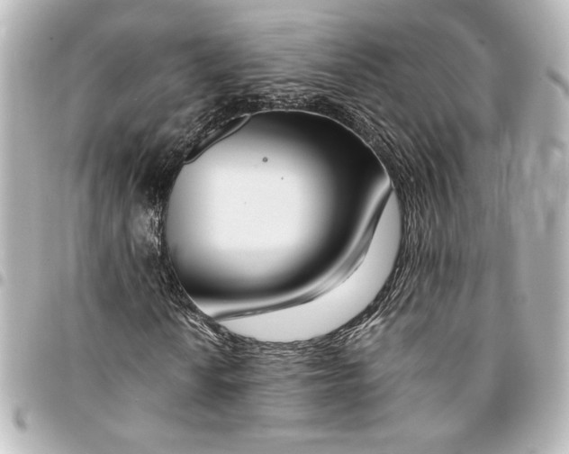 X0000094931010200712201047