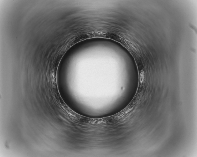 X0000094931011200712201047