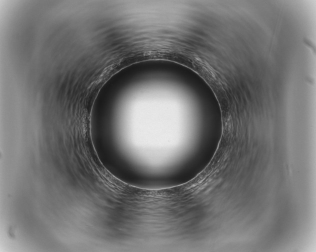 X0000094931012200712201047