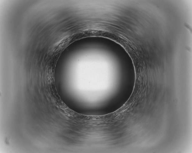 X0000094931014200712201047