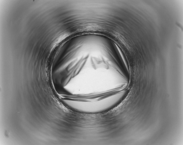 X0000094931018200712201048