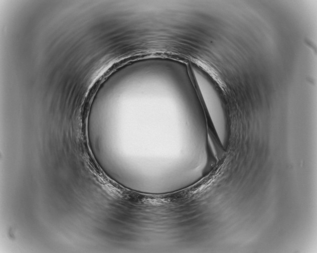 X0000094931023200712201048