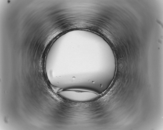 X0000094931026200712201048