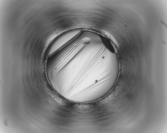 X0000094931027200712201048