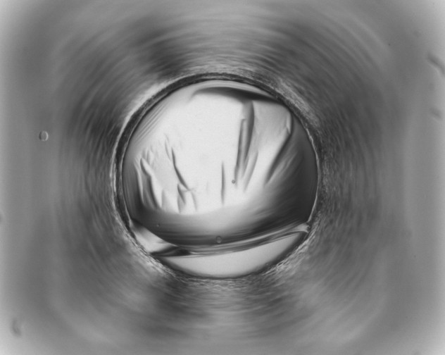 X0000094931028200712201048