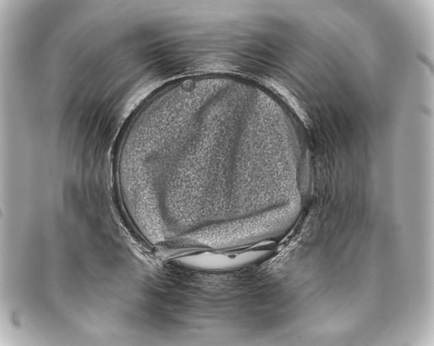 X0000094931031200712201048