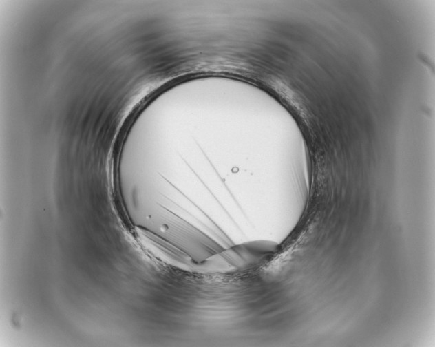X0000094931032200712201048