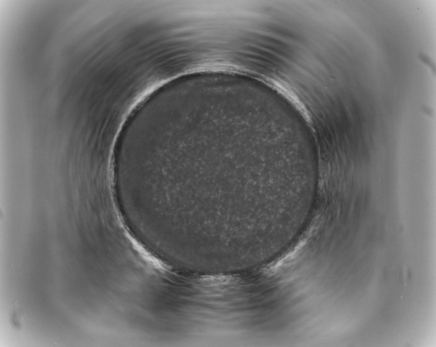 X0000094931037200712201048