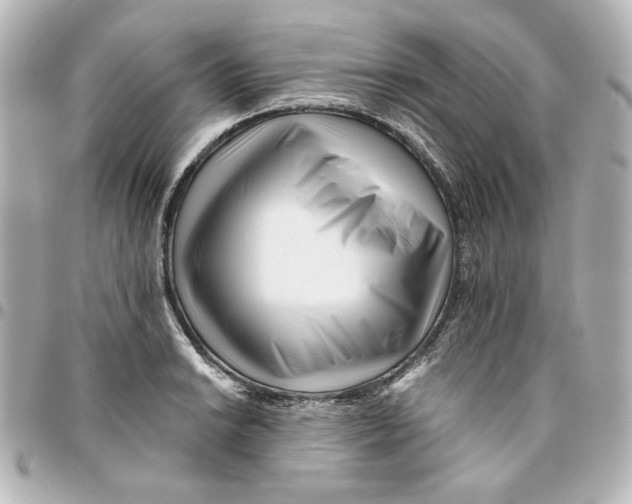 X0000094931038200712201048