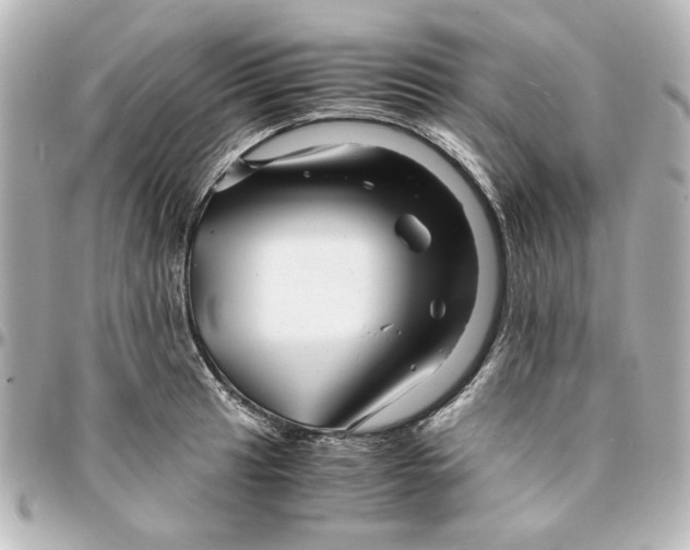 X0000094931041200712201048