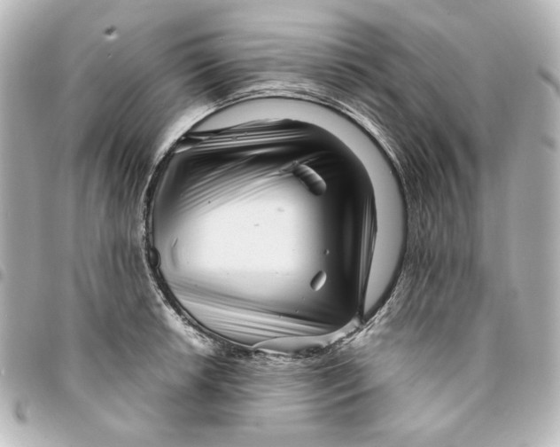 X0000094931042200712201048