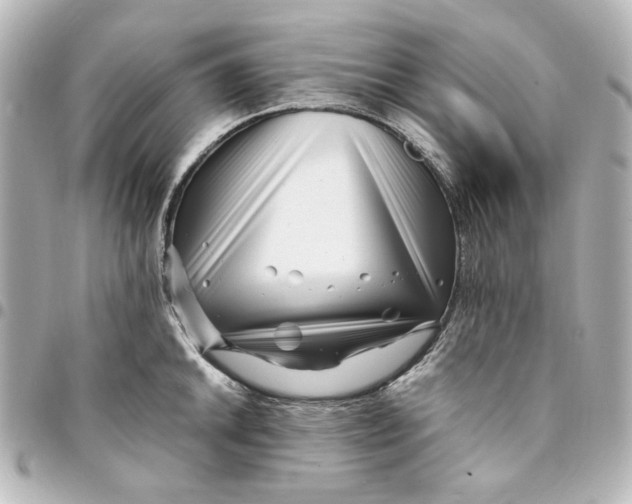 X0000094931046200712201048