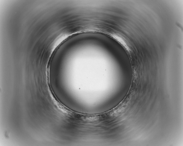 X0000094931047200712201048