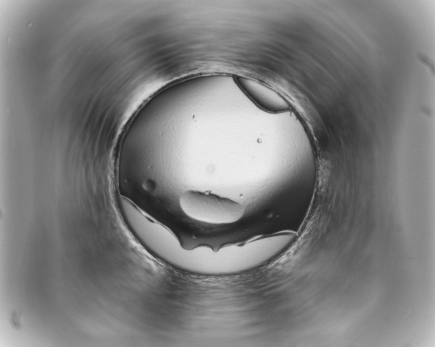 X0000094931048200712201048