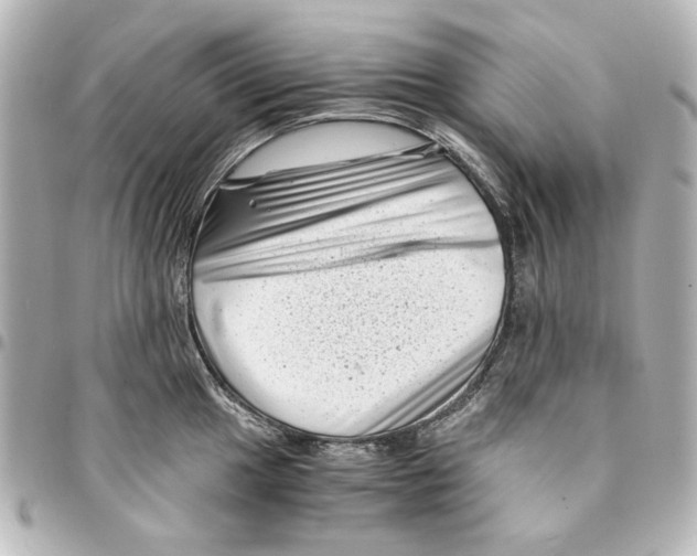 X0000094931049200712201048