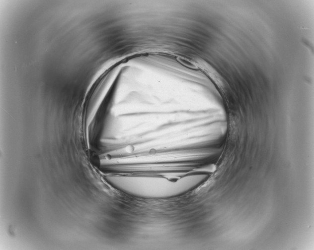 X0000094931052200712201048
