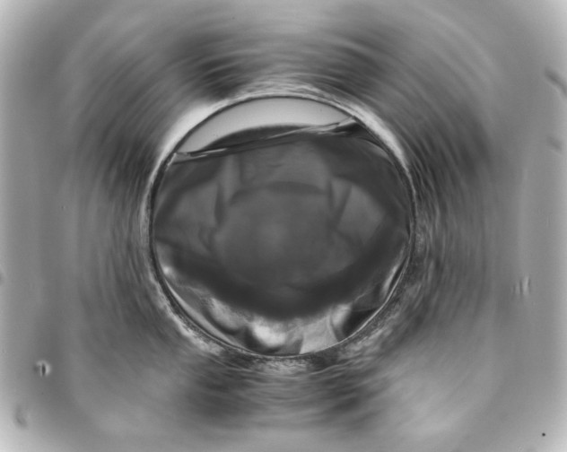 X0000094931053200712201048