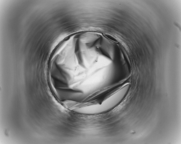 X0000094931054200712201048