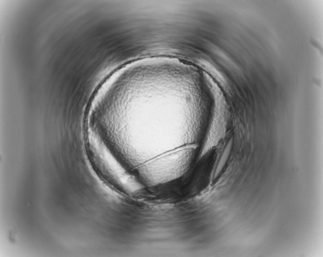 X0000094931055200712201048