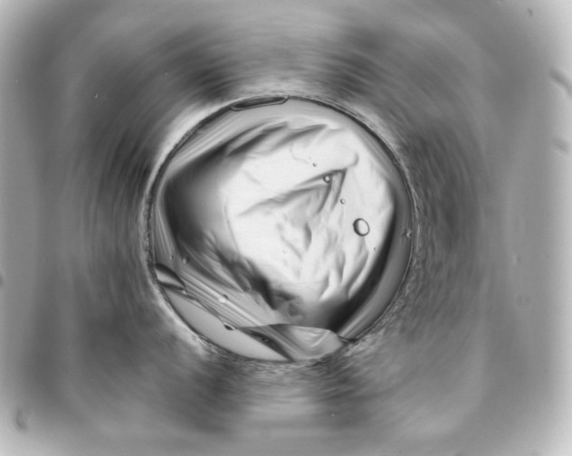 X0000094931056200712201048