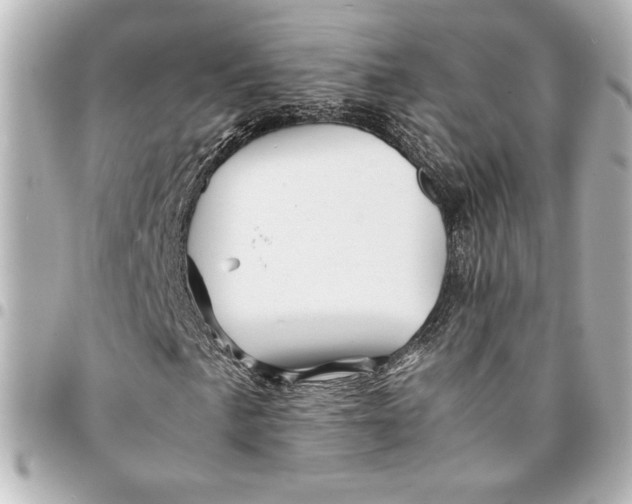 X0000094931057200712201047