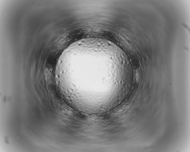 X0000094931059200712201047