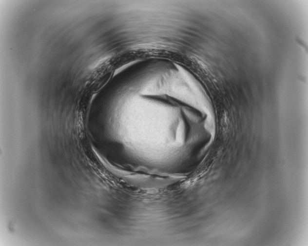 X0000094931062200712201047