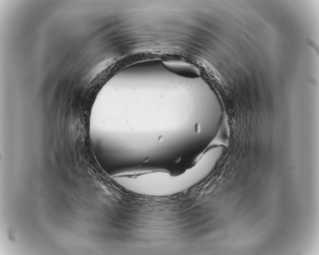 X0000094931064200712201047