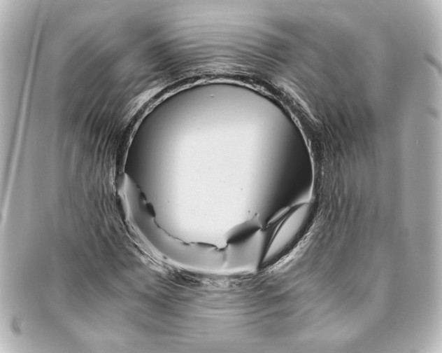 X0000094931065200712201047