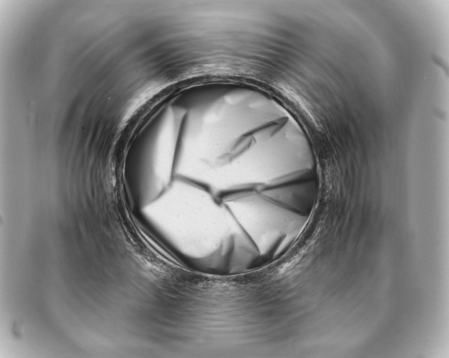 X0000094931070200712201047