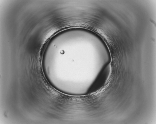 X0000094931071200712201047