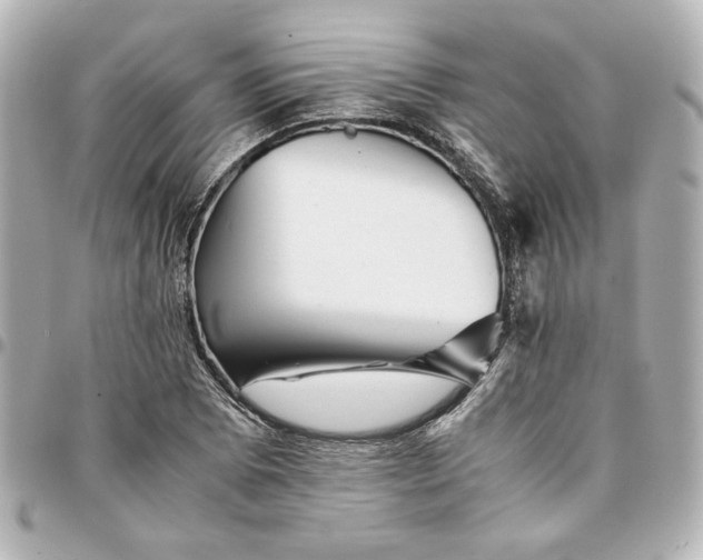 X0000094931073200712201047