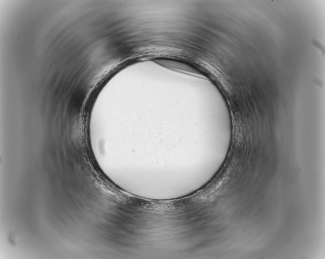 X0000094931074200712201047