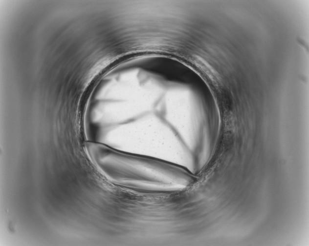 X0000094931077200712201047