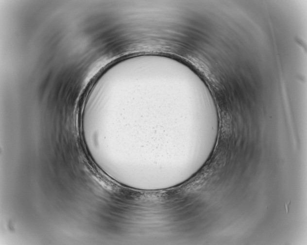 X0000094931078200712201047