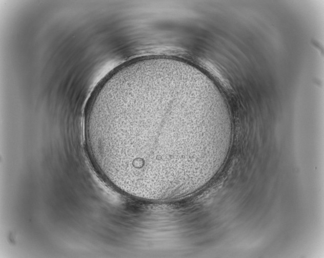X0000094931079200712201047