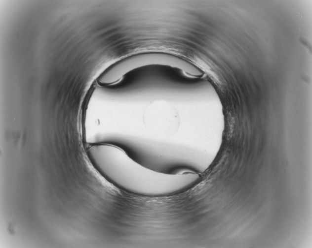 X0000094931084200712201047