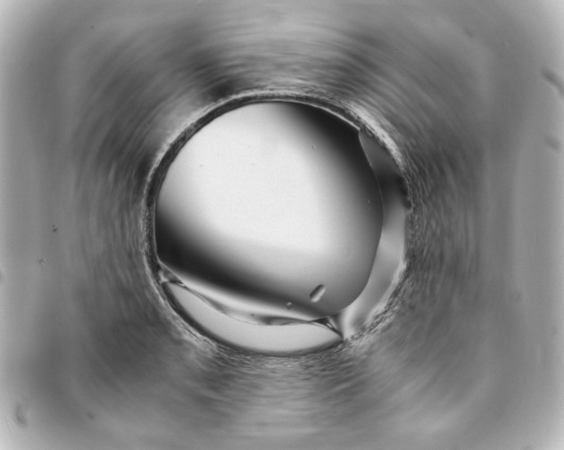 X0000094931085200712201047