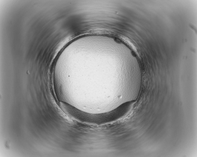 X0000094931091200712201047