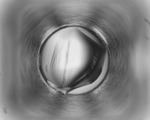 X0000094931093200712201047